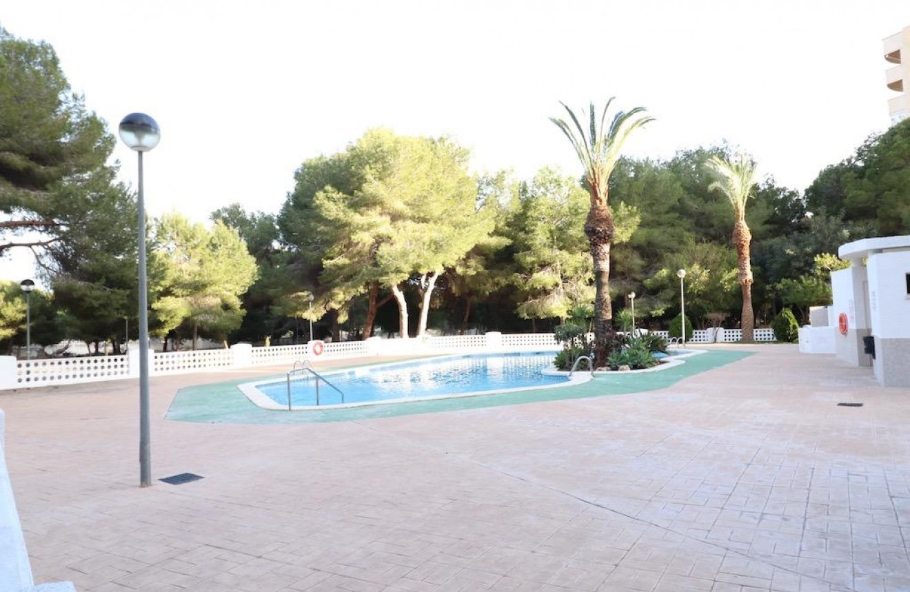 Aus zweiter Hand - Wohnung -
Orihuela Costa - Costa Blanca