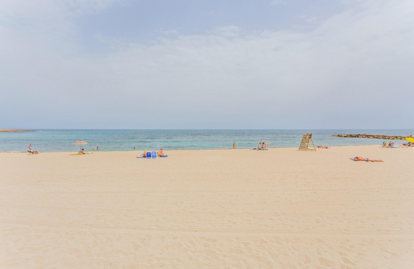 Z drugiej ręki - Mieszkanie w bloku -
Torrevieja