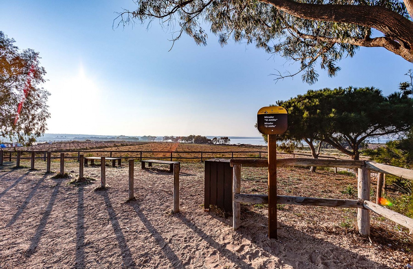 Segunda mano - Chalet -
Torrevieja - Costa Blanca