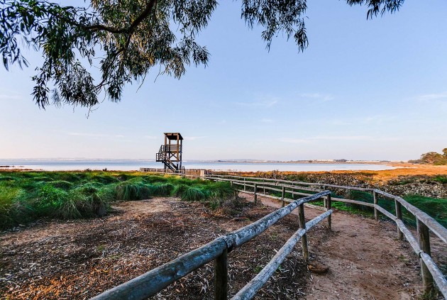 Segunda mano - Chalet -
Torrevieja - Costa Blanca