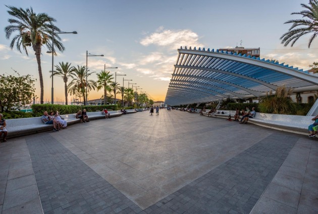 Z drugiej ręki - Mieszkanie w bloku -
Torrevieja - Estacion de autobuses