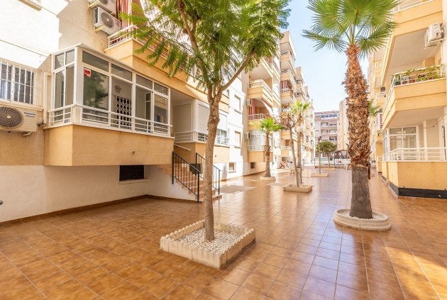 D'occasion - Appartement -
Torrevieja - Estacion de autobuses