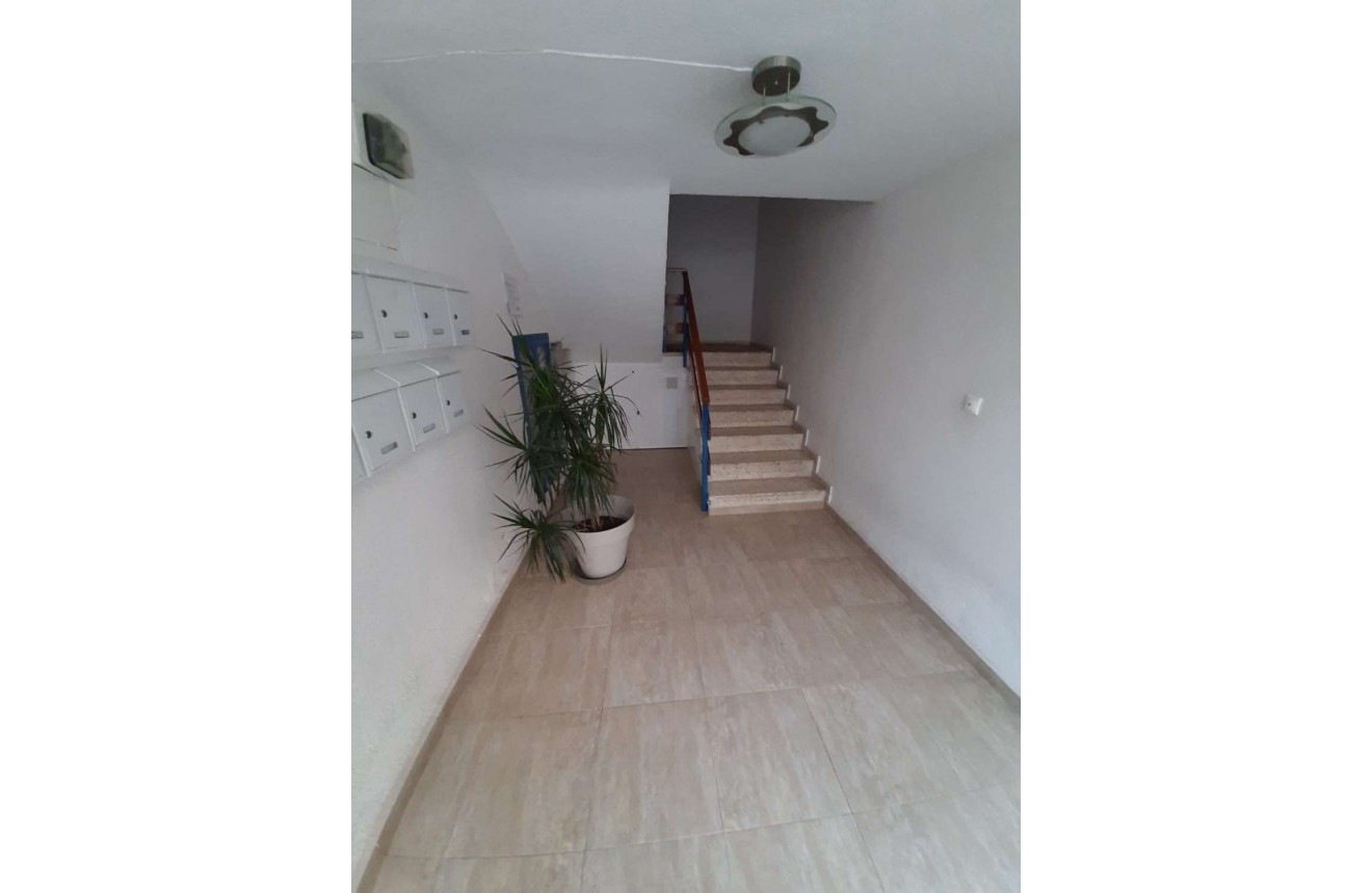 Aus zweiter Hand - Wohnung -
Torrevieja - Costa Blanca