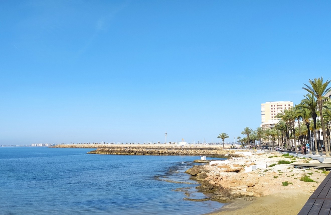 Tweedehands - Appartement / flat -
Torrevieja - DOWNTOWN