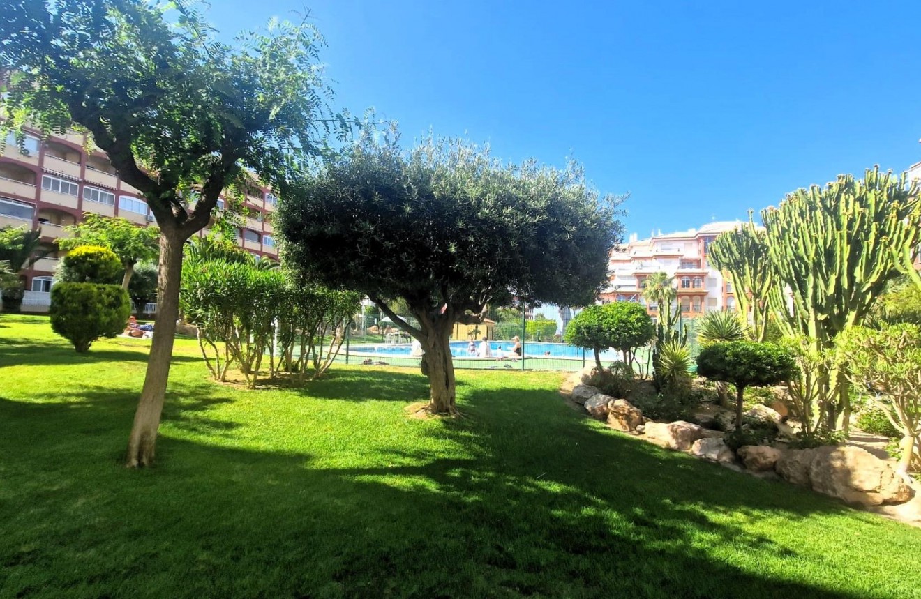 D'occasion - Appartement -
Torrevieja - Torreblanca