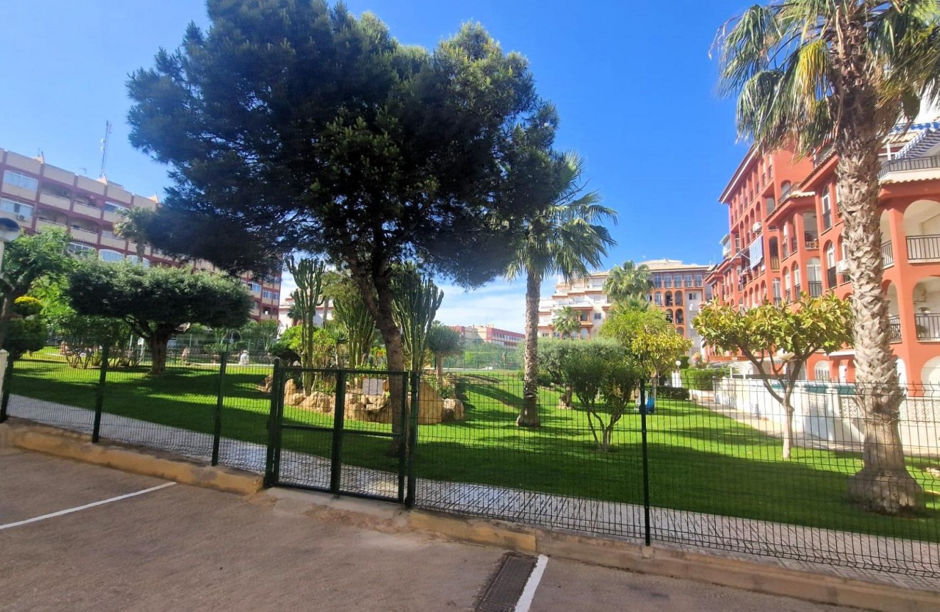 Resale - Apartment / flat -
Torrevieja - Torreblanca