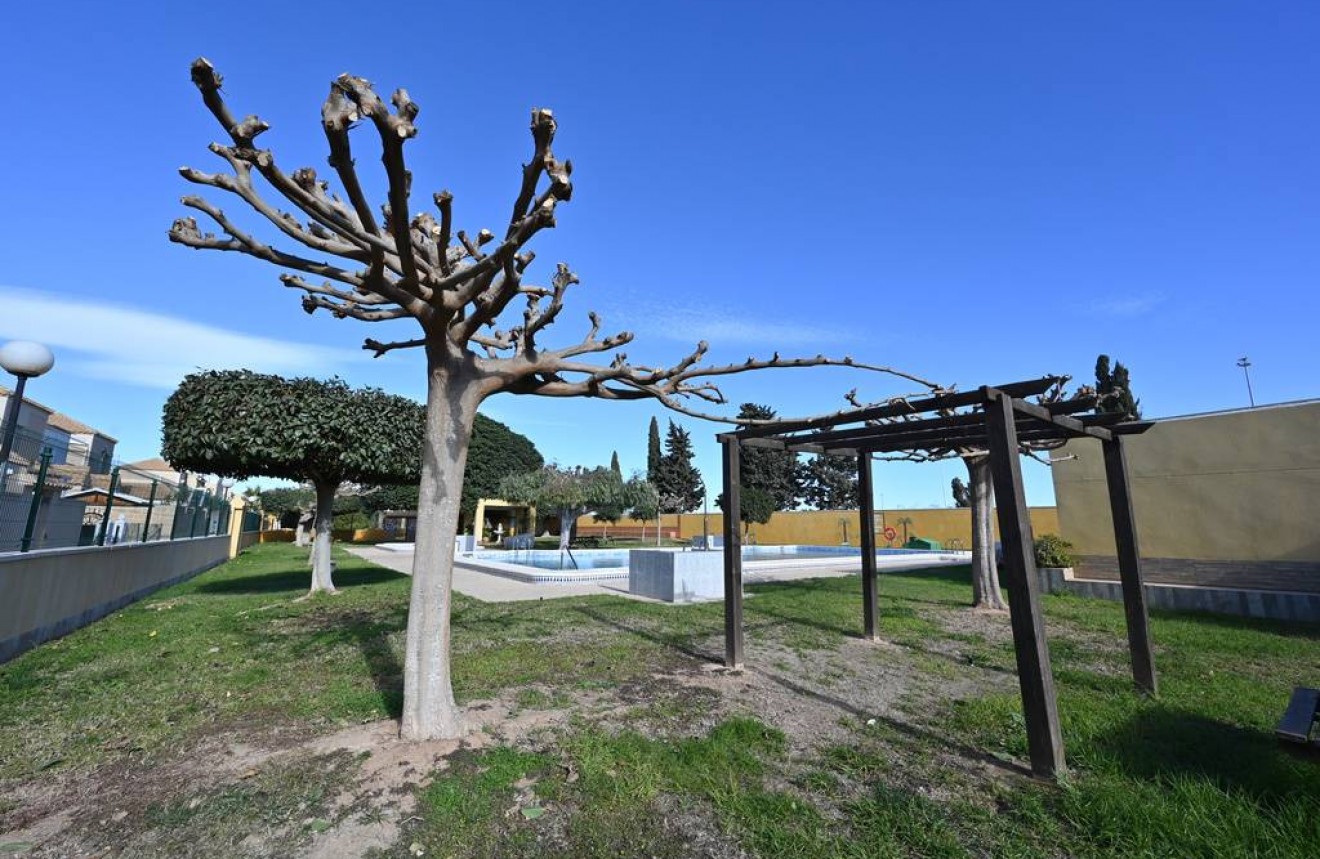 Segunda mano - Bungalow -
Torrevieja - Costa Blanca