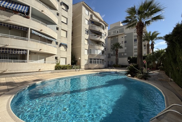 Aus zweiter Hand - Wohnung -
Torrevieja - Costa Blanca