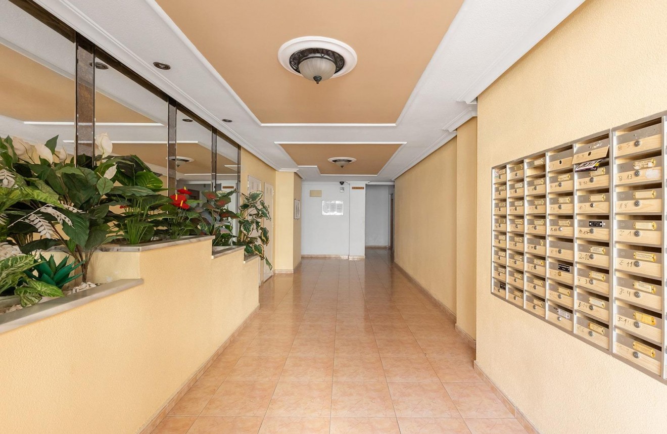 D'occasion - Appartement -
Torrevieja