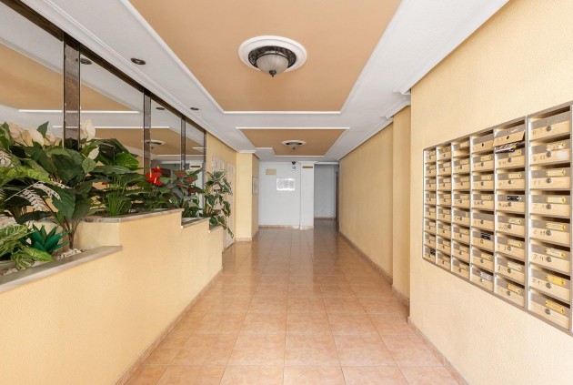 D'occasion - Appartement -
Torrevieja