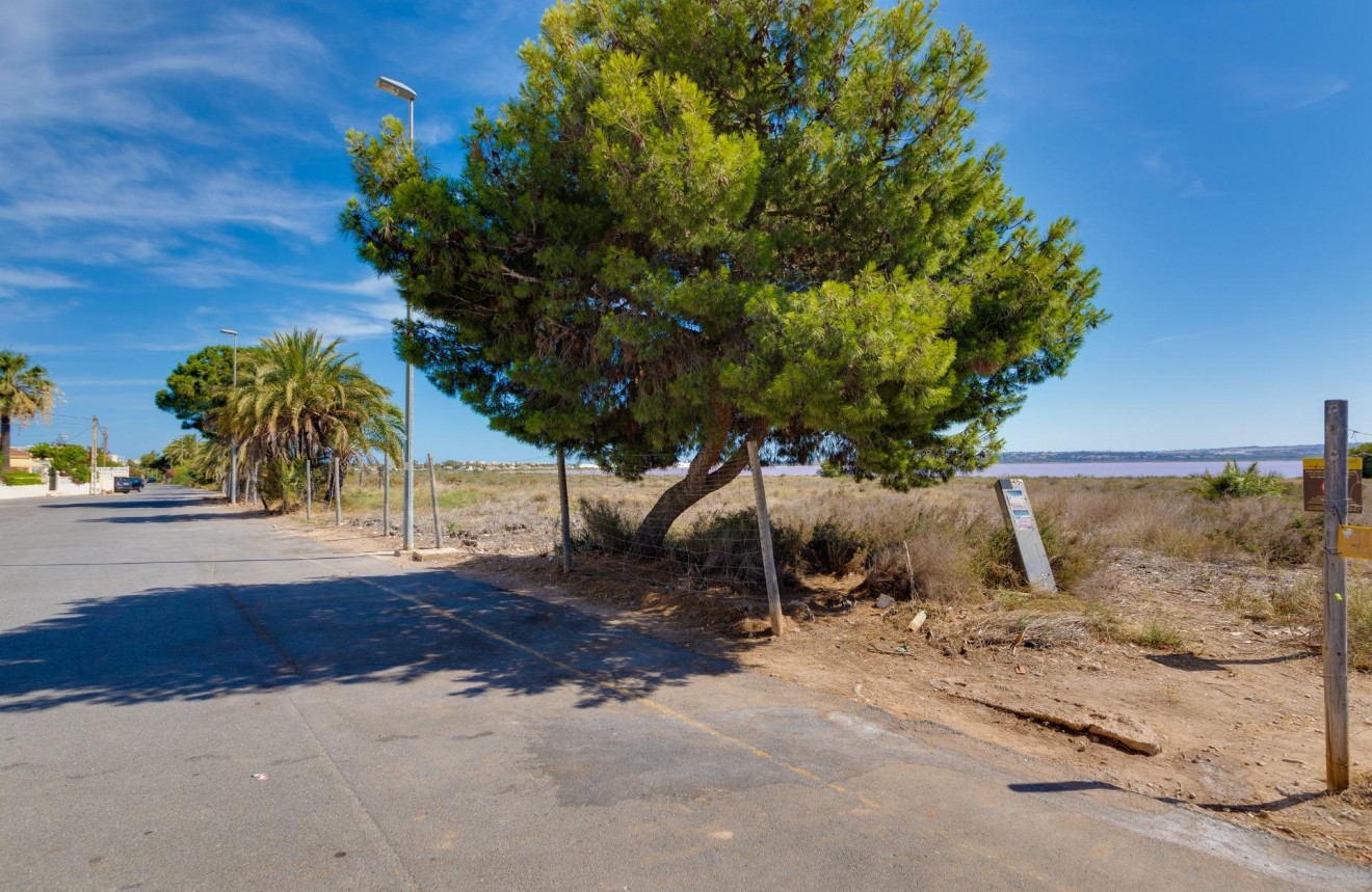 Segunda mano - Chalet -
Torrevieja - San luis