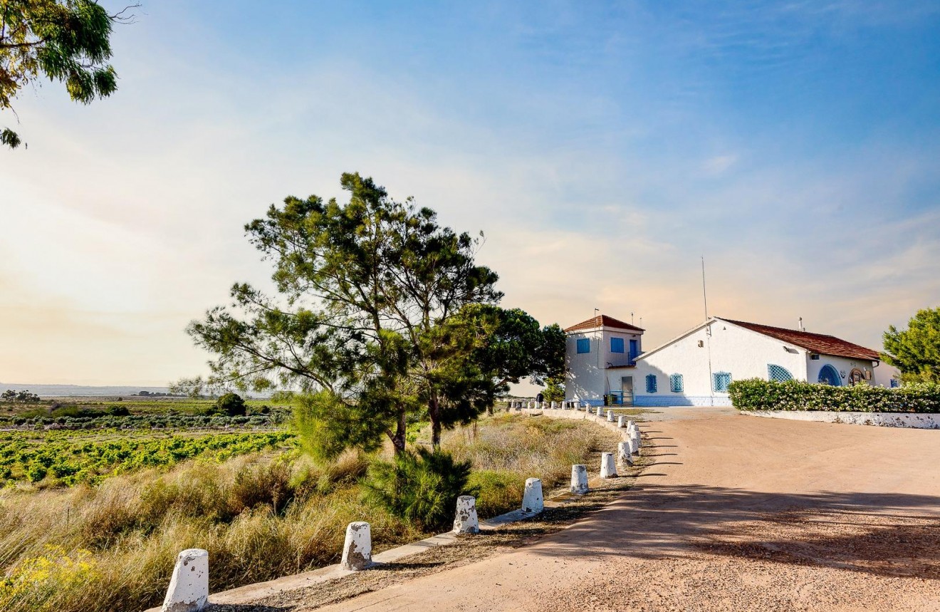 Segunda mano - Chalet -
Torrevieja - San luis