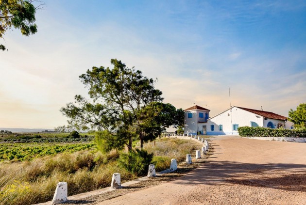 Segunda mano - Chalet -
Torrevieja - San luis