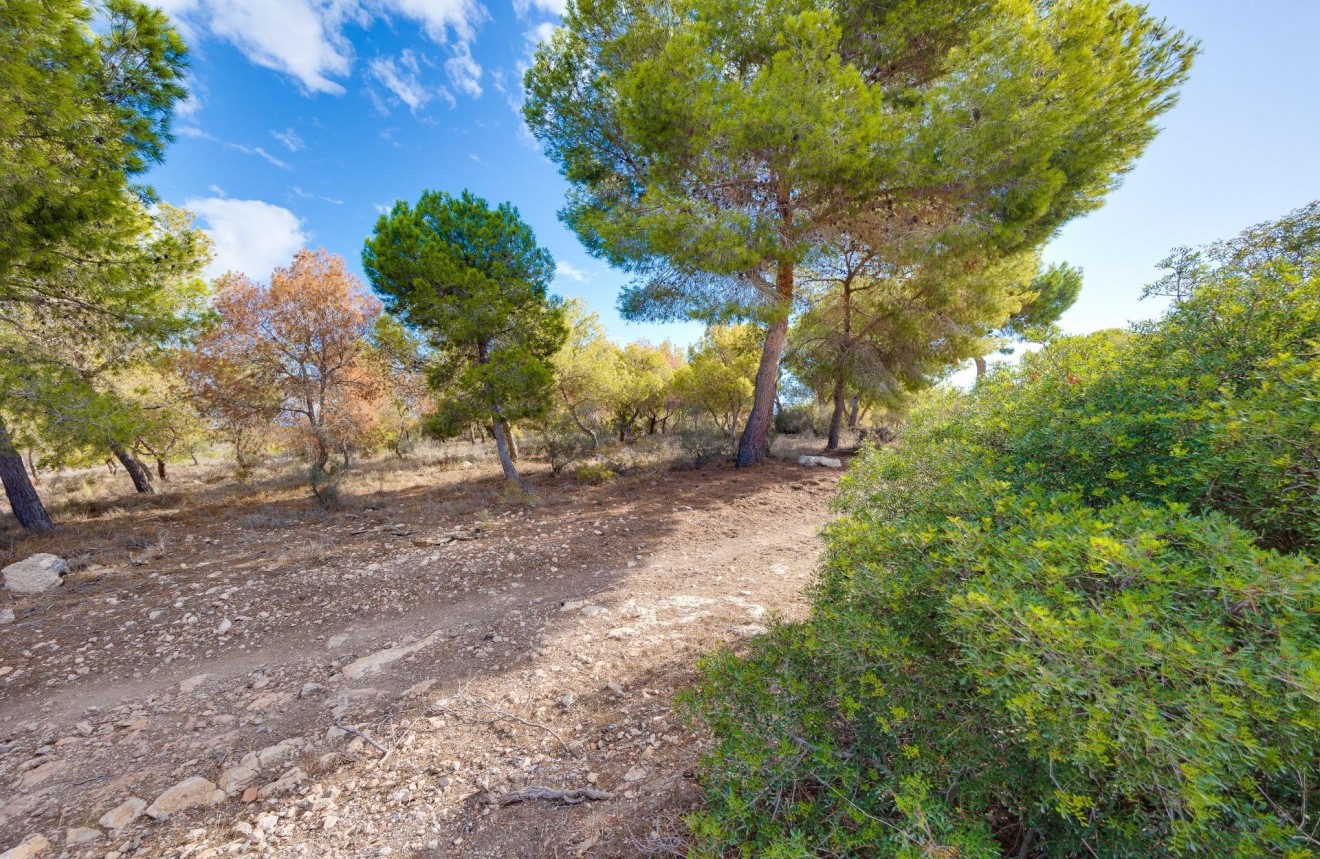 Segunda mano - Chalet -
Torrevieja - San luis