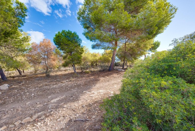 Segunda mano - Chalet -
Torrevieja - San luis