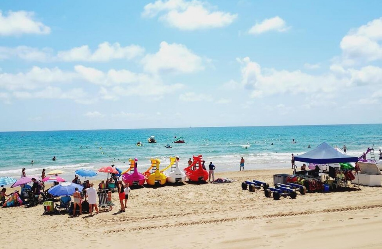 Segunda mano - Bungalow -
Torrevieja - Torreblanca