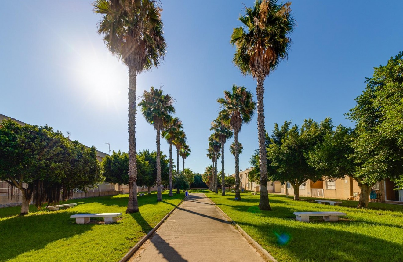 Z drugiej ręki - Szalet -
Torrevieja - Aguas Nuevas 2