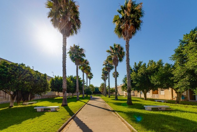 Z drugiej ręki - Szalet -
Torrevieja - Aguas Nuevas 2