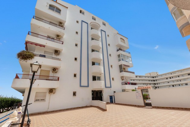 Z drugiej ręki - Mieszkanie w bloku -
Torrevieja - Torre la mata