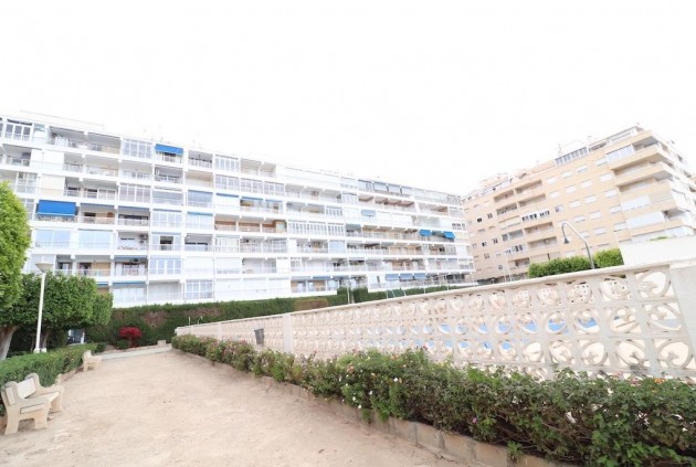 Aus zweiter Hand - Wohnung -
Torrevieja - Costa Blanca