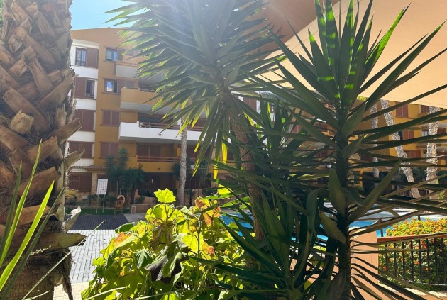 Resale - Apartment / flat -
Torrevieja - Costa Blanca