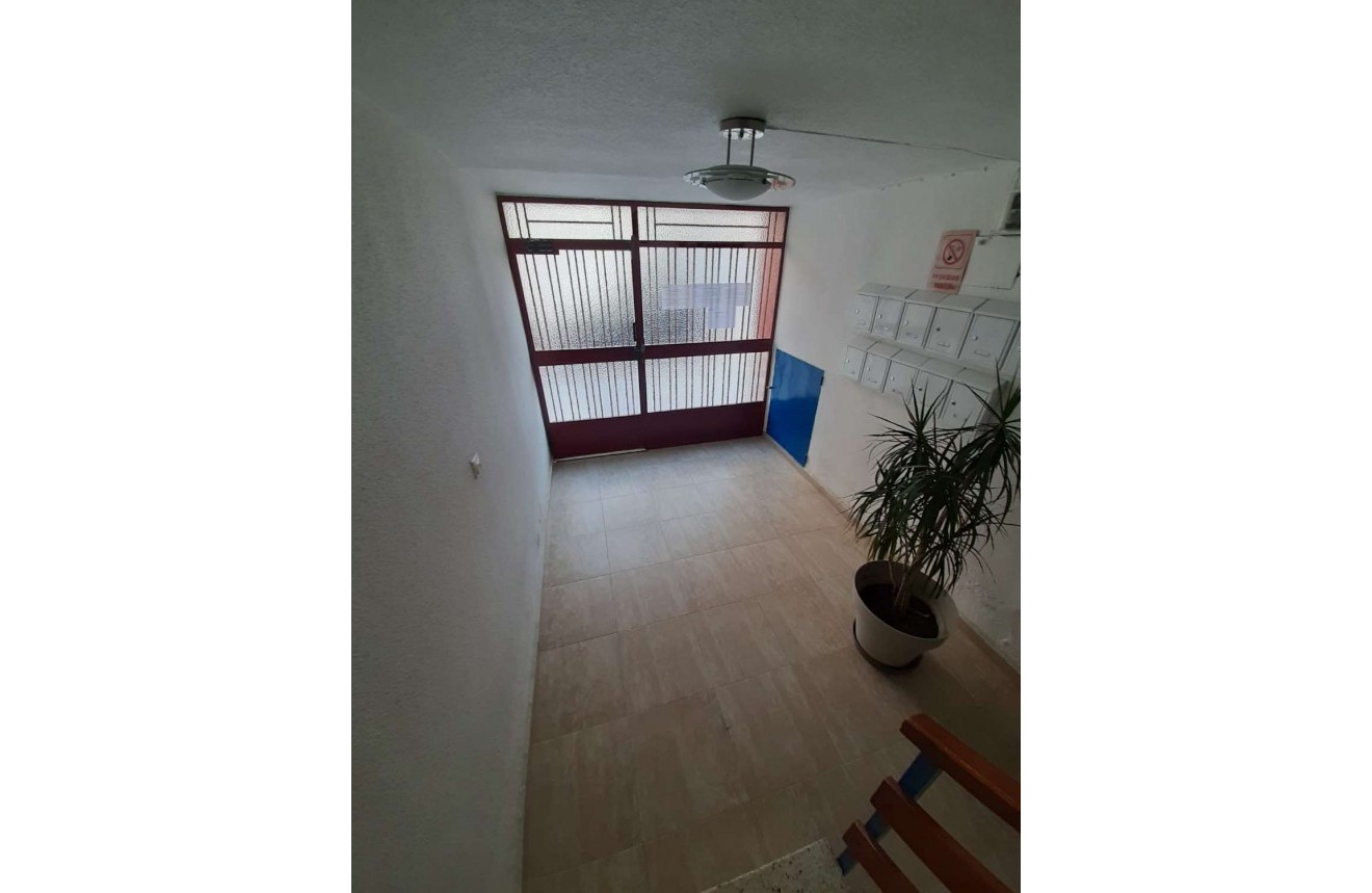 Aus zweiter Hand - Wohnung -
Torrevieja - Costa Blanca