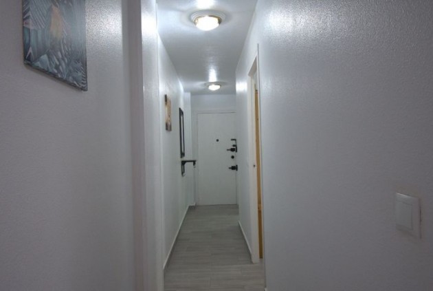 Segunda mano - Apartamento / piso -
Torrevieja - Costa Blanca