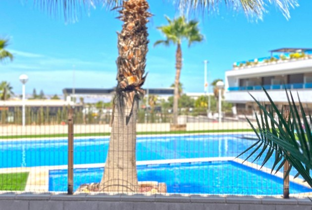 Resale - Chalet -
Torrevieja - Costa Blanca