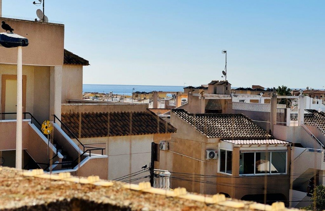 Segunda mano - Chalet -
Torrevieja - Costa Blanca