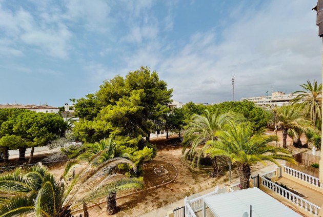 Tweedehands - Appartement / flat -
Torrevieja - Costa Blanca