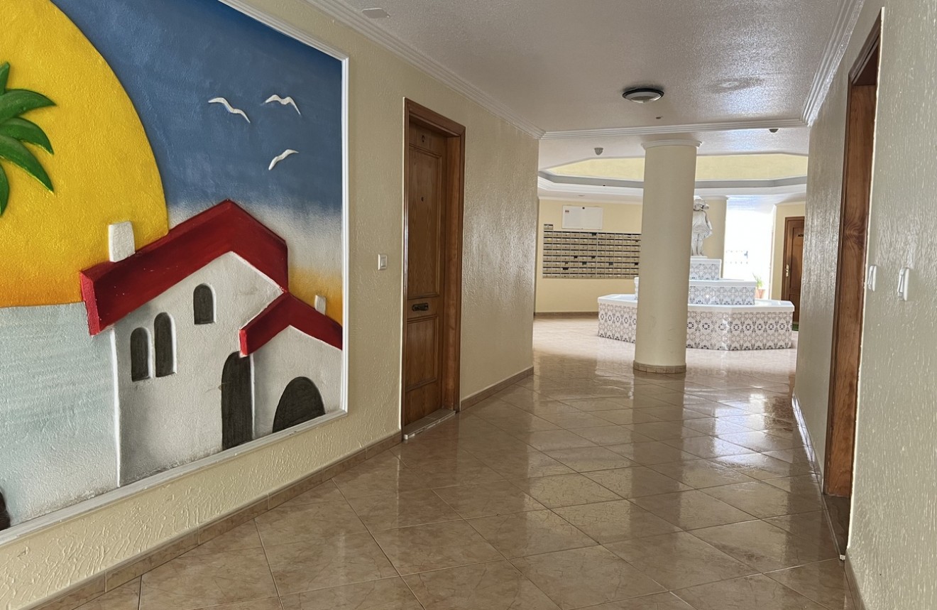 Tweedehands - Appartement / flat -
Torrevieja - Centro