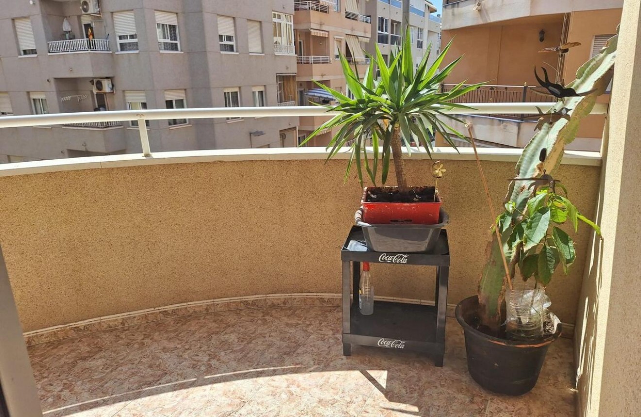 Tweedehands - Appartement / flat -
Torrevieja - Costa Blanca