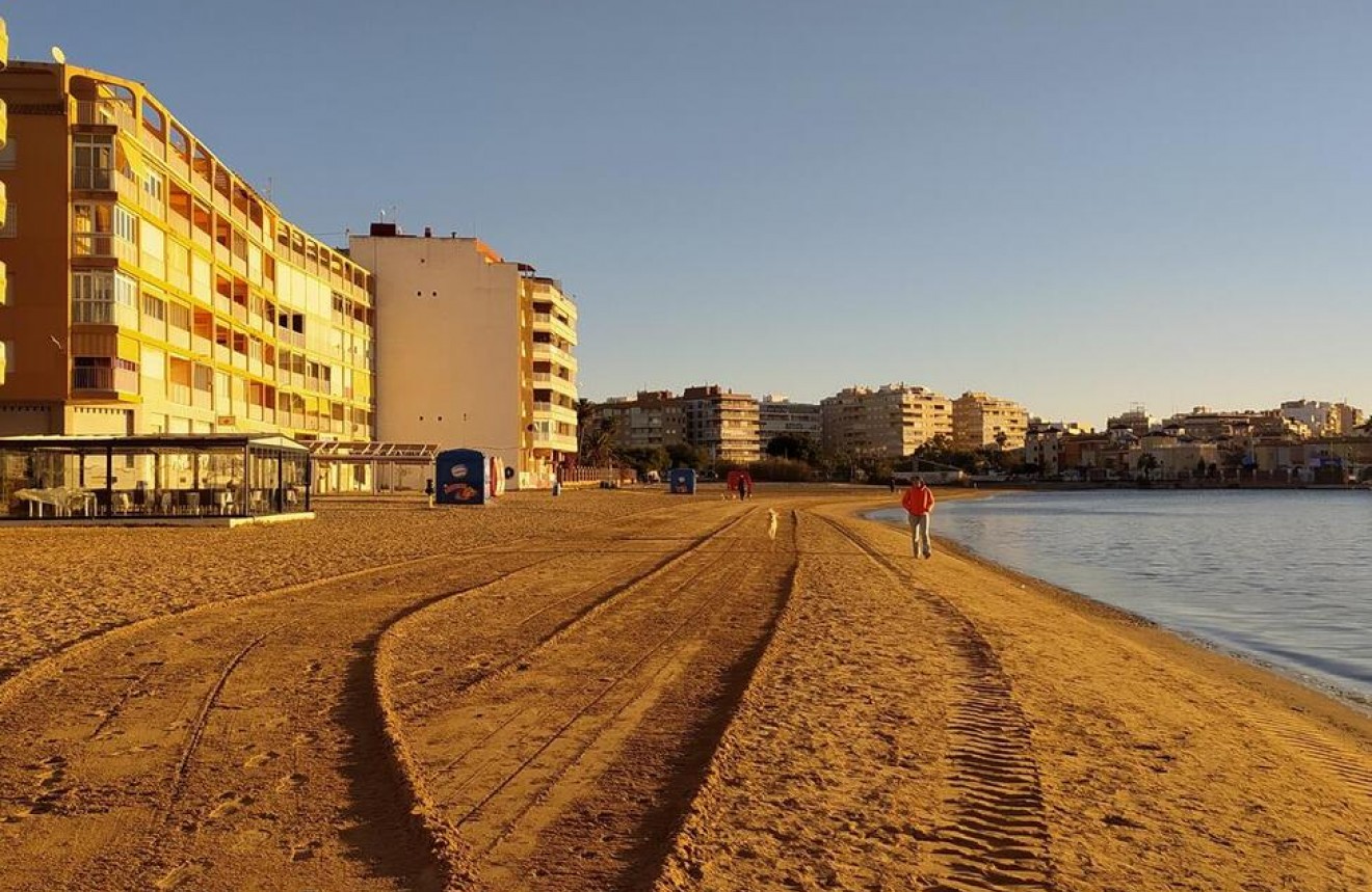 Z drugiej ręki - Mieszkanie w bloku -
Torrevieja - Acequion