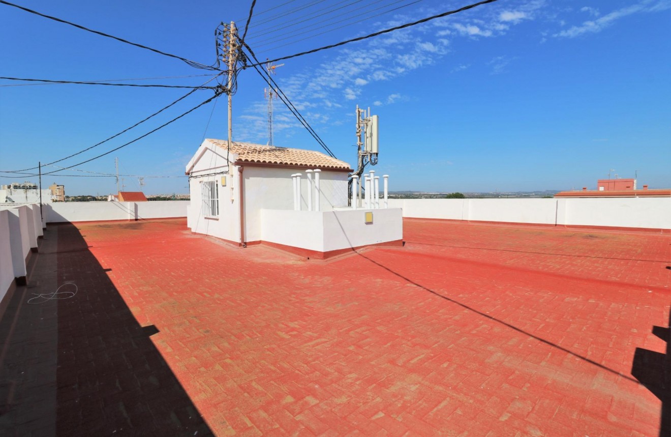 Z drugiej ręki - Daszek -
Torrevieja - Playa de los Naufragos