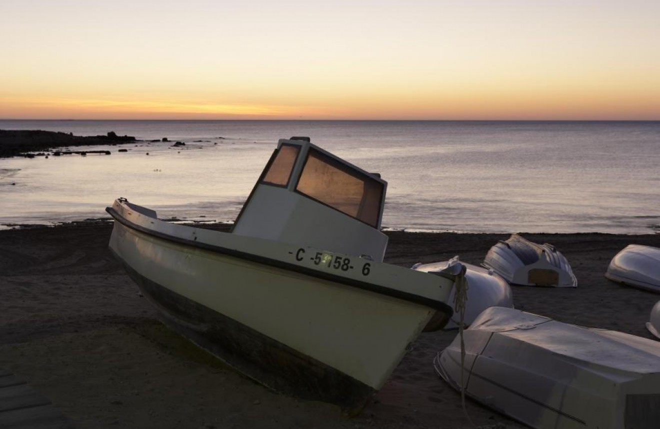 Nowy budynek - Bungalow -
Torrevieja - Torrejón