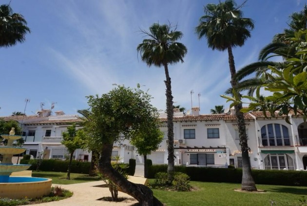 Z drugiej ręki - Bungalow -
Torrevieja - Lago Jardin