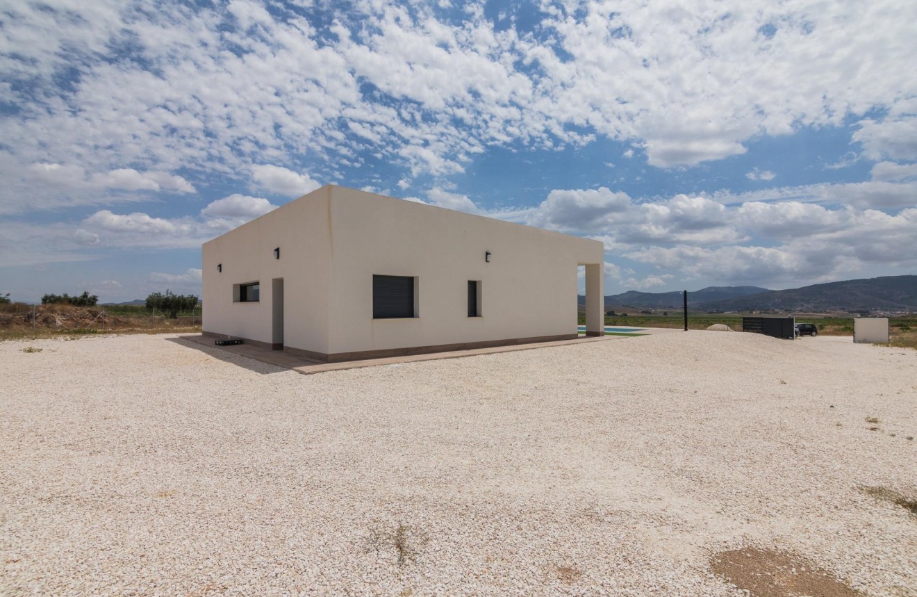 Obra nueva - Chalet -
Pinoso - Campo