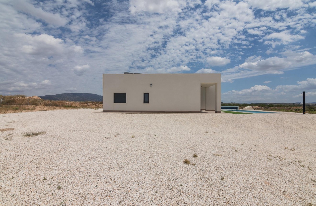 Obra nueva - Chalet -
Pinoso - Campo