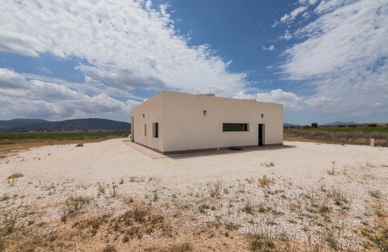 Obra nueva - Chalet -
Pinoso - Campo