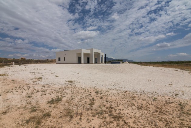 Obra nueva - Chalet -
Pinoso - Campo