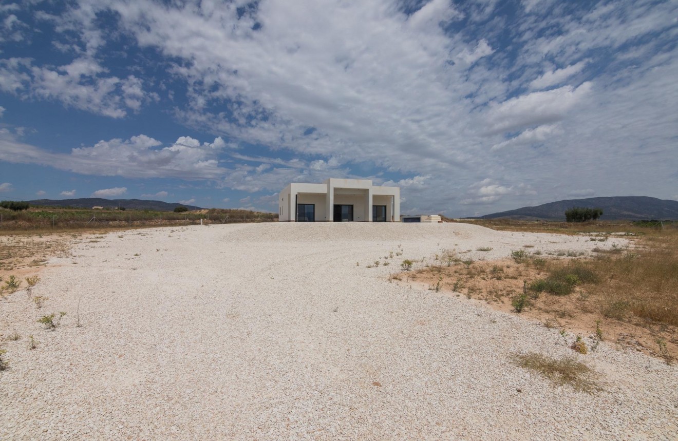 Obra nueva - Chalet -
Pinoso - Campo