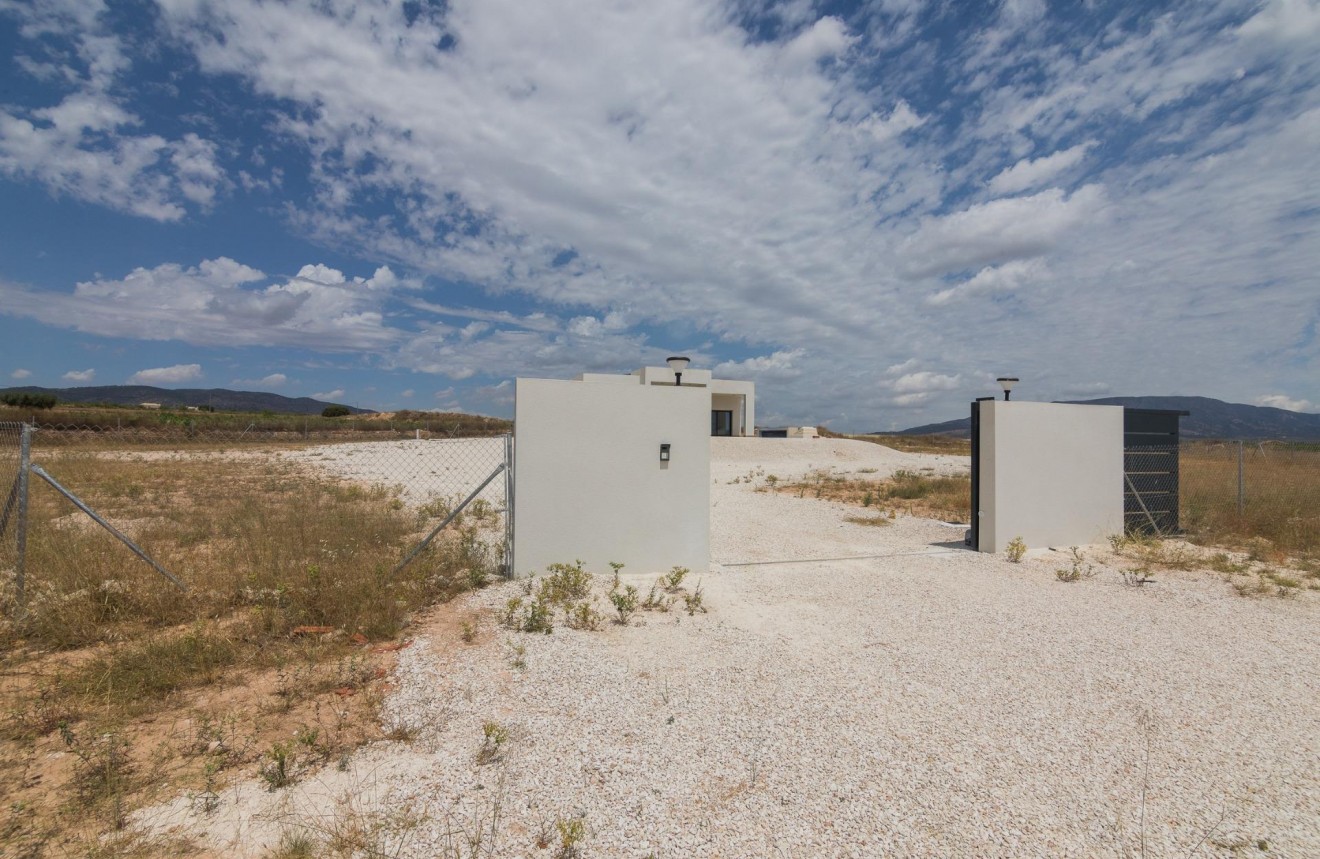 Obra nueva - Chalet -
Pinoso - Campo