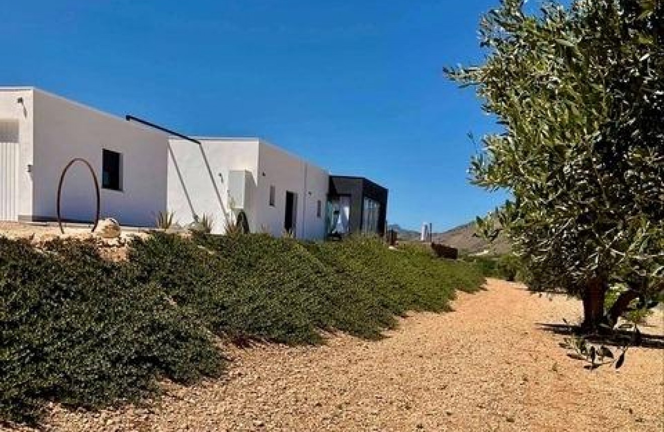 Nieuwbouw Woningen - Chalet -
Jumilla - Torre del Rico