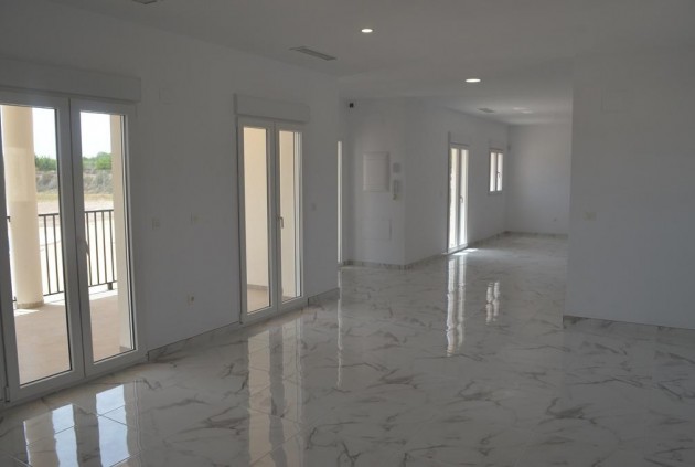 Obra nueva - Chalet -
Pinoso - Camino Del Prado