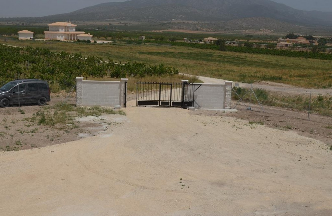 Obra nueva - Chalet -
Pinoso - Camino Del Prado