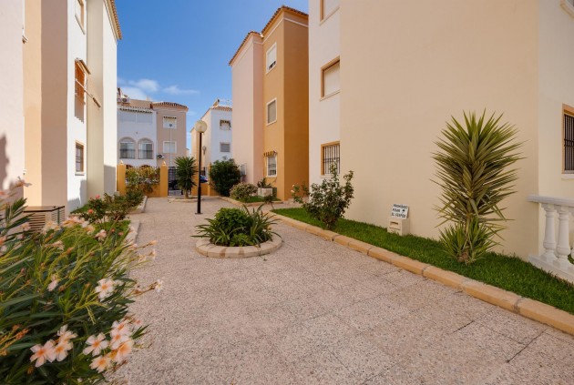 D'occasion - Bungalow -
Torrevieja - Costa Blanca