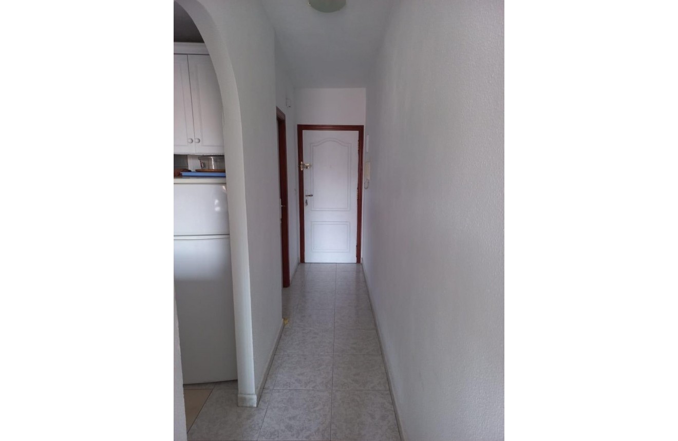 Segunda mano - Apartamento / piso -
Torrevieja - Estacion de autobuses