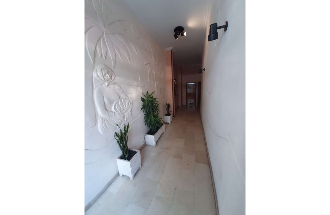 Aus zweiter Hand - Wohnung -
Torrevieja - Costa Blanca