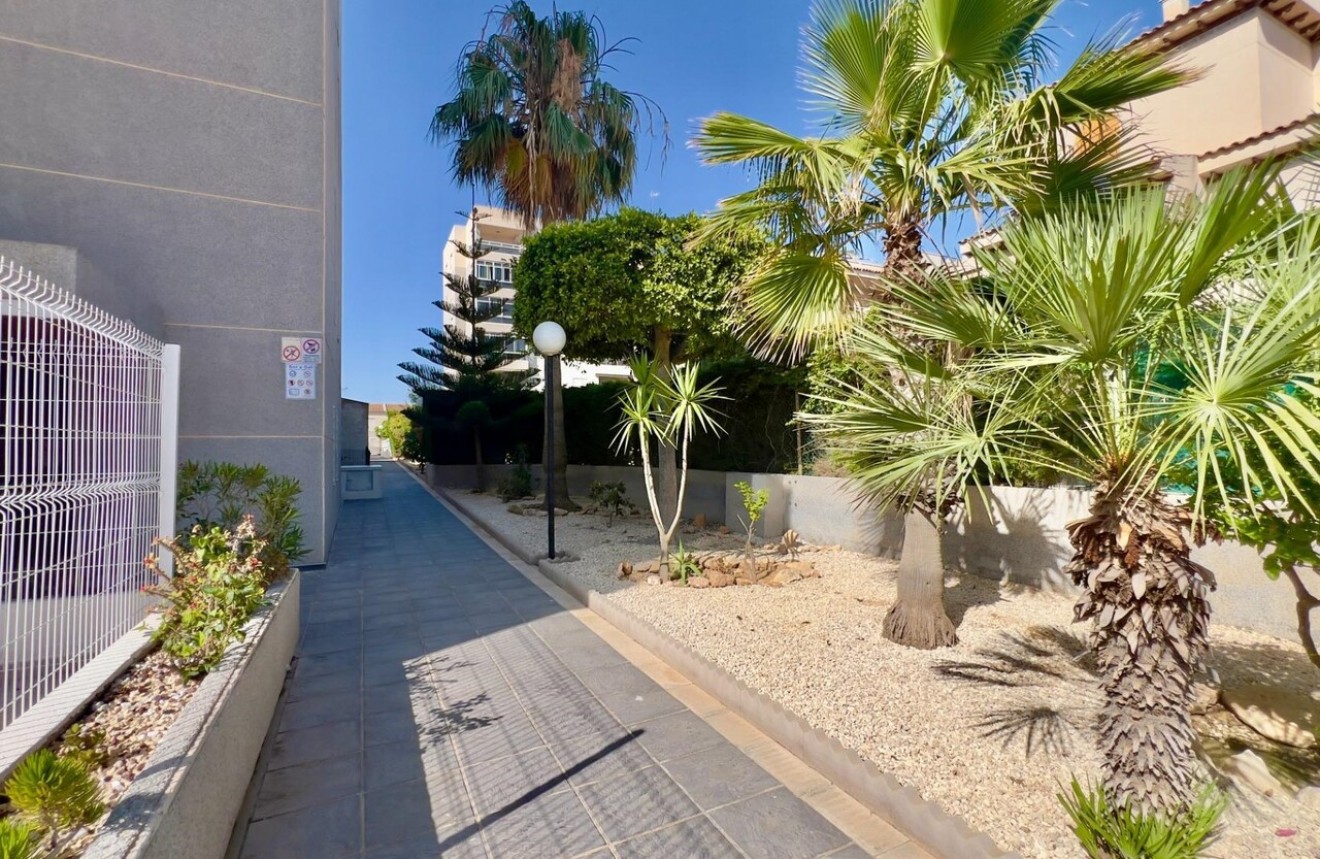 Aus zweiter Hand - Wohnung -
Torrevieja - Costa Blanca