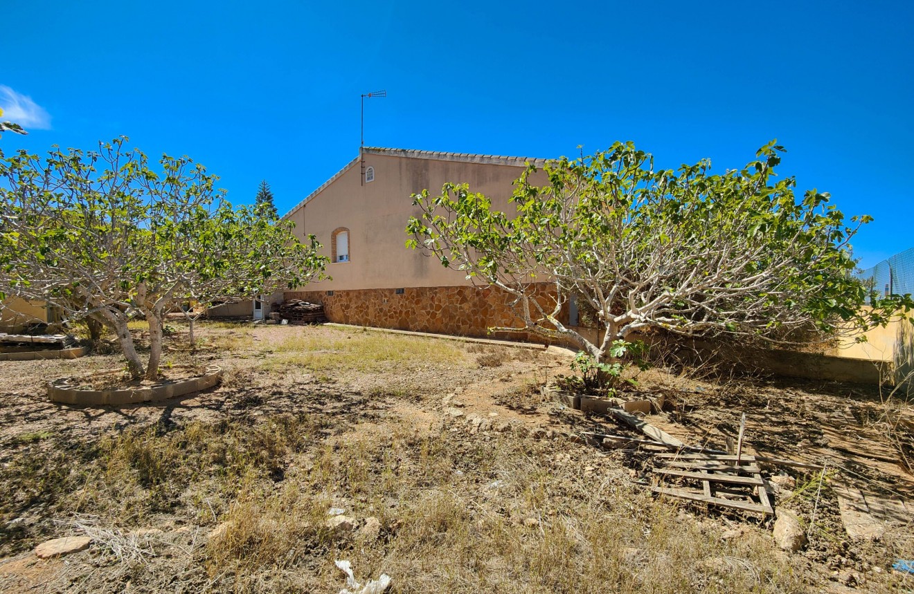 Segunda mano - Chalet -
Torrevieja - Costa Blanca